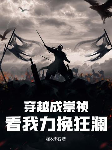 穿越成崇祯,看我力挽狂澜