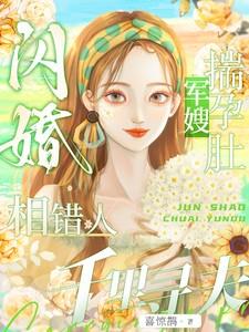闪婚相错人,军嫂揣孕肚千里寻夫