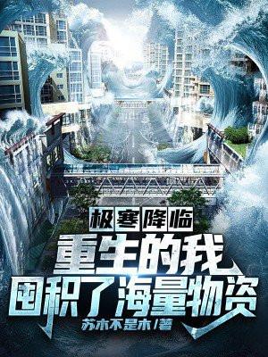 极寒降临:重生的我囤积了海量物资