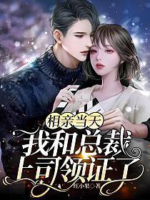 相亲当天,我和总裁上司领证了