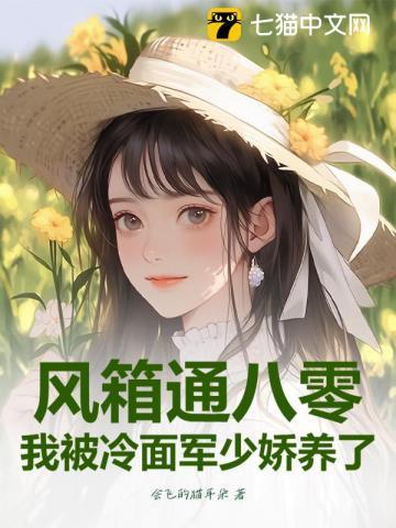风箱通八零,我被冷面军少娇养了