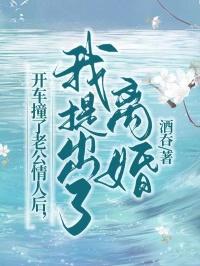 开车撞了老公情人后,我提出了离婚