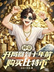 神豪：开局回到十年前购买比特幣