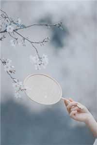 长篇小说阅读穿越七零:全家手持极品剧本