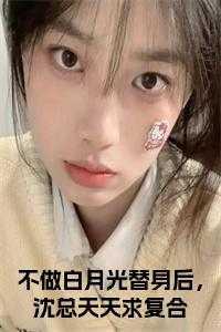 不做白月光替身后,沈总天天求复合正版无弹窗
