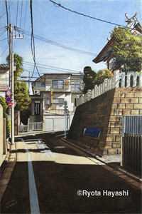 旭日龙少文章全文