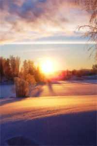 意外遇险,渣男选择救白月光