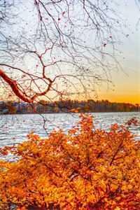 嫂嫂，我能行完整文集阅读