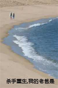 杀手重生我的老爸是皇上苏月的小说