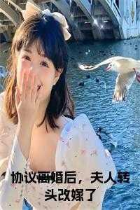 协议离婚后,夫人转头改嫁了小说免费