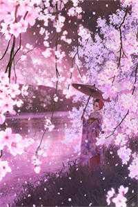 重生后,军爷丈夫他缠上我精品全集