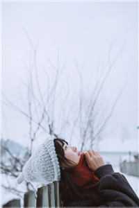 开局VIP，异界我无敌畅销书籍