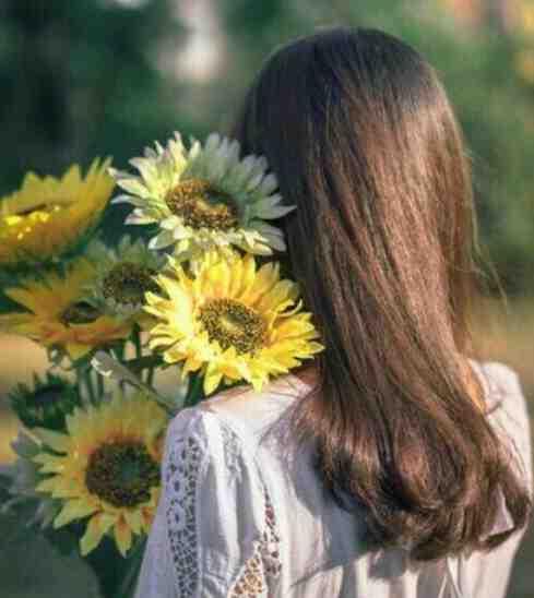 全文完结海底小纵队之原始熊猫