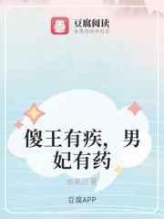 傻王有疾,男妃有药