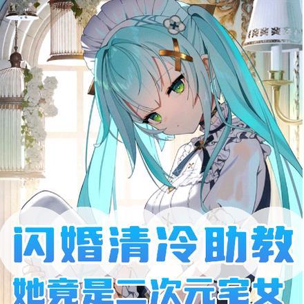 闪婚清冷助教，她竟是二次元宅女