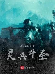 灵兵斗圣